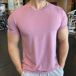 Men's T Shirts Men T-shirt Breathable Quick Dry T-shirts Fitness Workout Running Short Sleeve Tops Shirt For Man 2023 Summer Tees Muti-color