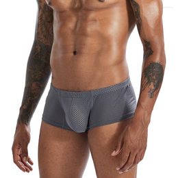 Underpants Stretched Transparent Gay Mens Sexy Mesh Fabric For Underwear Boxers Briefs Boxer Homme Cueca Masculina