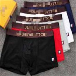 5 pcs lot Mesh Breathable Boxers Underpants Shorts For Man Sexy Underwear Casual Short Modal Male Gay Underwears296z