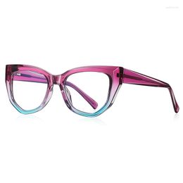 Sunglasses Frames 52mm Polygon Cat Eye Women Glasses Frame Fashion Clear Anti-Blu-Ray Lens Eyewear Men Optical Double Color 2156
