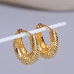 Hoop Earrings Trendy Geometric Twisted Thick Metal Brincos Gold Colour Round Circle For Women Punk Hiphop Jewellery
