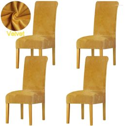 Chair Covers Thicken Velvet Dining Cover Stretch Slipcover Living Room Kitchen Anti-Slip Universal Housse De Chaise