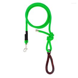 Dog Collars Traction Rope General For Small Medium And Large Dogs