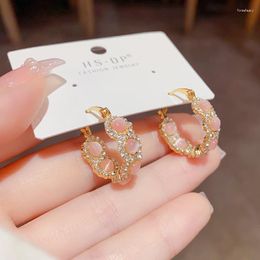 Hoop Earrings Light Luxury Unique Temperament Opal Circle Design Sense Style Exquisite