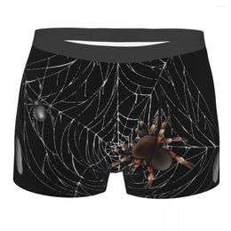 Underpants Men's Panties Web Lace Male Man Short Boxer Underwear