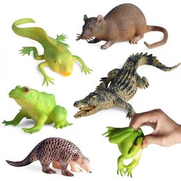 Funny 5PCS Soft Rubber Squishy Toys TPR Super Stretch Animal Toy for Kids Figures Set with Frog Tadpole Crocodile Rat Pangolin Decompression stress relief Game