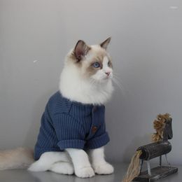 Cat Costumes Round Necked Shirt Siamese Puppet Hairless Clothing Teddy Schnauzer Bixiong Pome Pet Cats Clothes Kitten