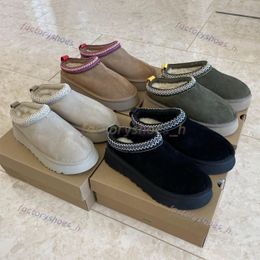 Stivali con plateau ultra mini Stivali firmati da donna Stivali da neve australia Pantofole Tazz Tasman Scarpe invernali in lana scamosciata calde Stivaletti soffici