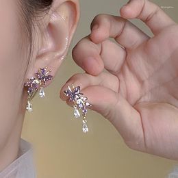 Dangle Earrings Fashion Trend Unique Design Exquisite Light Luxury Purple Zircon Butterfly Tassel Stud Women Jewellery Party Gift