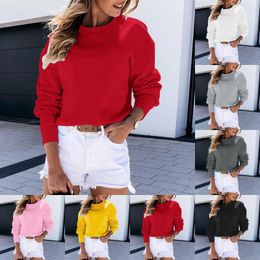 Women's Hoodies Solid Color Hoodless Sweatshirts Autumn Winter Sweatshirt Round Neck Sweater Long Sleeve Dailywear Moletom