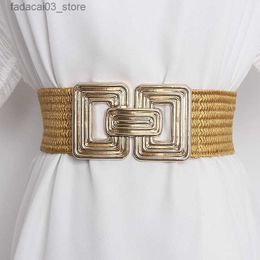 Belts Gold Elastic Waistband Women's Fashion Casual Luxury Design Coat Dress Decorative Accessories Wide Girdle Goth Retro Corset Belt Q230914