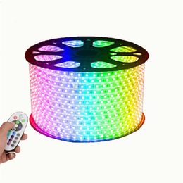 RGB AC 110V LED Strip Outdoor Waterproof 5050 SMD Neon Rope Light 60LEDs M With POWER SUPPLY Cuttable At 1Meter Via In Stock263a