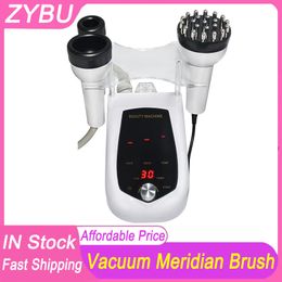 2 in 1 Electric Body Cupping Pain Relief Health Care Vacuum Scraping Suction EMS Meridian Guasha Brush Back Vibration Massage Body Neck Relax