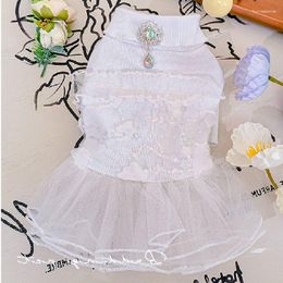 Dog Apparel Spring Summer Dress Puppy Skirt Cat Wedding Dresses Pomeranian Yorkie Shih Tzu Maltese Poodle Bichon Clothes Pet Clothing XS