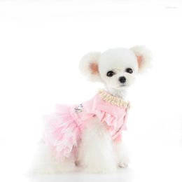 Dog Apparel Cat Puppy Pet Dress Winter Clothes Coat Outfit Yorkshire Terrier Pomeranian Clothing Maltese Poodle Shih Tzu