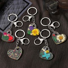 Keychains Natural Real Dried Flower Heart Style Resin Key Chains Daisy Blossom Petal Pendant Lobster Clasp Keychain Bag Keyring Holder