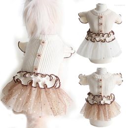 Dog Apparel Luxury Classic Dress For Small Dogs Ruffles Sequin Design Puppy Yorkie Terrier Princess Skirt Autumn Winter Clothes Pets