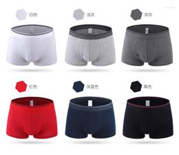 Underpants M-5XL 6XL Men's Boxers Big Size Men Cotton Underwear Fat Male Mid Waist Front Open Hole Gay Unerwear