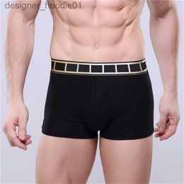 Underpants Mens Designers Boxers Underpants Sexy Classic Mens Underwear Fashion Casual Shorts Breathable Boxer Size 2XL/3XL L230915