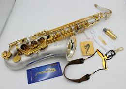 2023 Eastern Music B flat pro use satin silver plated gold key tenor saxophone