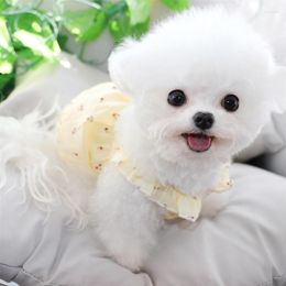 Dog Apparel Breathable Mesh Pet Dress Teddy Cute Skirt Spring And Summer Thin Section Puppy Clothes Bichon Cherry Birthday Gift