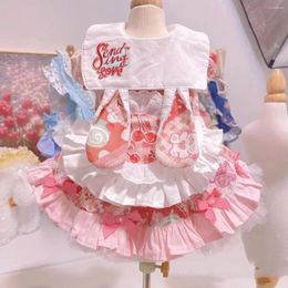 Dog Apparel Autumn Skirt Pink Princess Bubble Sleeve Dress Cat Clothes Marquis Cartoon Cherry Ears Designer