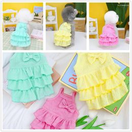 Dog Apparel 2023 Pet Supplies Clothes Spring And Summer Skirt Clothing Teddy Small Candy Colour Layered