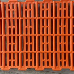 Plastic Faecal leakage board Plastic floorfor pigs Suitable for breeding pens and ground activities for lactating piglets 500*600mm Orange floor