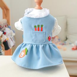 Dog Apparel PETCIRCLE Clothes Three Carrots Sweet Dress For Small Puppy Pet Cat Autumn Cute Costume Coat Jacket