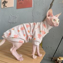 Cat Costumes CLothes Sphynx Fashion Warm Soft Cotton Coat For Hairless High-necked Bottomed Long-sleeved Sweatshirt Devon Rex