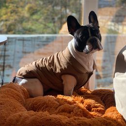 Dog Apparel Winter Warm Coat Jacket Windproof Soft Fleece Small Medium Large Pet Vest French Bulldog Chihuahua Padded Costumes 230915