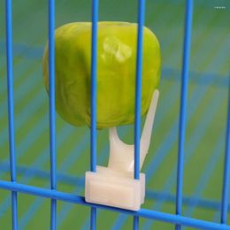 Other Bird Supplies 1Pcs Fruit Fork Parrot Pet Plastic Food Holder Feeding On Cage For Hamster Rat 2 Size S/L