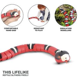 Cat Toys Smart Sensing Snake Electric Interactive For Cats USB Charging Accessories Child Pet Dogs Game Play Toy318A