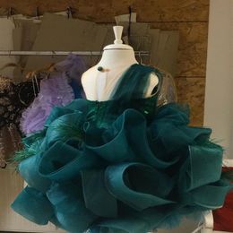 2021 Dark Green Luxurious Flower Girl Dresses Ball Gown Sheer Neck Tiers Feather Lilttle Kids Birthday Pageant Weddding Gowns ZJ67290F