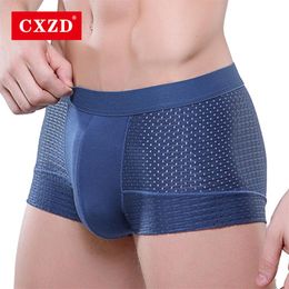 CXZD Sexy underwear cueca boxer Men Mesh Shorts plus size Solid Men's Clothing boxers panties shorts Sexy fat guy mens284K