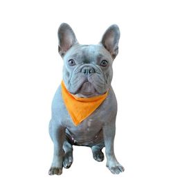 Fashion Brand Letters Embroidery Pet Saliva Towels Dog Apparel Luxury Pet Bandanas 8Colors Personality Charm Teddy Bulldog Triangl301F