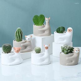 Bottles 2023 Ceramic Flower Pots Cartoon Decoration Creative Personalised Animal Pot Home Living Room Handicraft Flowerwa
