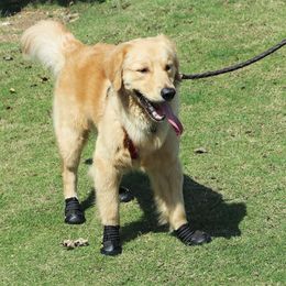 Reflective Dog Shoes Socks Winter Dog Boots Footwear Rain Wear Non-Slip Anti Skid Wear-resistant Pet Shoes for Medium Large Dogs 2240R