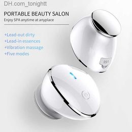 Beauty Equipment 45 Degree Face Sonic Exfoliator Brush Theramal Massage Serum Oil Infusion Applicator Vibrating Japanese Silicone Facial Cleanser 362