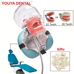 Other Oral Hygiene Typodont Simulator Simple Head Model Phantom With Teeth For Dentist Students Dentistry Manikin Training Unit 230915