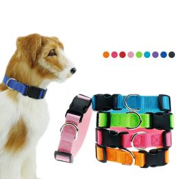 Pet supplies dog collars plain nylon 9 color dogs neck cover pet traction rope collar wholesale