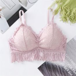 Comfortable French Lace Bralette Push Up Bras for Women Sexy Lingerie Padded Bra Comfortable Female Underwear Wire Bralette3148