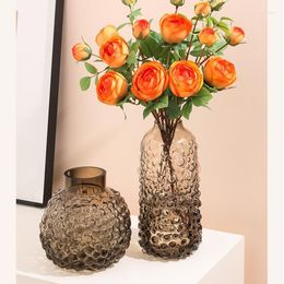 Vases Glass Vase Ins Wind Big Belly Bubble Decoration Living Room Flower Arrangement Hydroponic Flowers Home Desktop Device