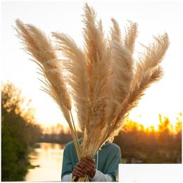 Decorative Flowers Wreaths 80Cm Pampas Grass Large Super Fluffy Natural Dried Bouquet Decor Cream Color Wedding Decorations Christ Dhbdo