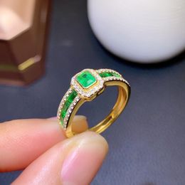 Cluster Rings HOYON 14k Yellow Gold Colour Imitation Natural Colombian Emerald Treasure Ring Female Luxury Full Diamond Row Open