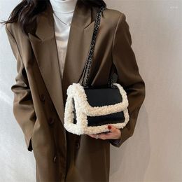 Evening Bags Retro Faux Fur Lambswool Handbag Women's Luxury Designer Bag PU Leather Messenger Ladies Tote Purses Chain Shoulder