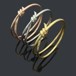 Designer gold Bangle women stainless steel knotted glossy couple bracelets men's fashion luxury Jewellery Valentine's Day 310x