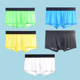 5pcs Mesh Boxer Shorts Underwear Cool Ice Silk Men's Boxer Underpants Super Breathable Men Sexy Slim Man Panties Transparent332Y