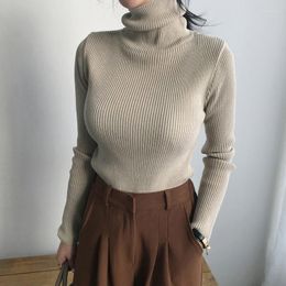 Women's Sweaters Knitwear Turtleneck Thick Warm Sweater Autumn Winter 2023 Long Sleeve Outwear Jumper Top Beige Pink