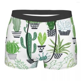 Underpants Succulents Cactus Cotton Panties Shorts Boxer Briefs Male Underwear Print
